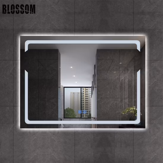 Irregular Shape Smart LED Back Light Bathroom Mirrors Decor Wall